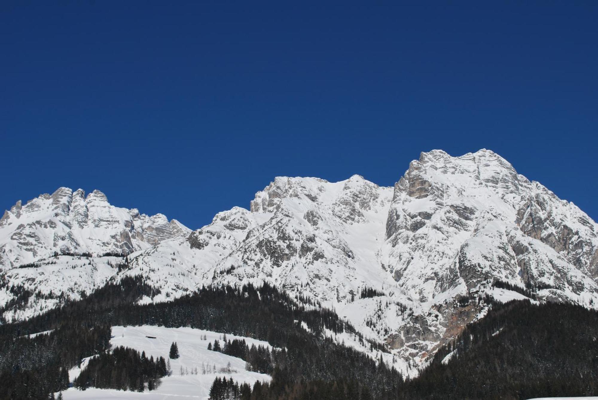 Appartement Haus Pichler Leogang Bagian luar foto