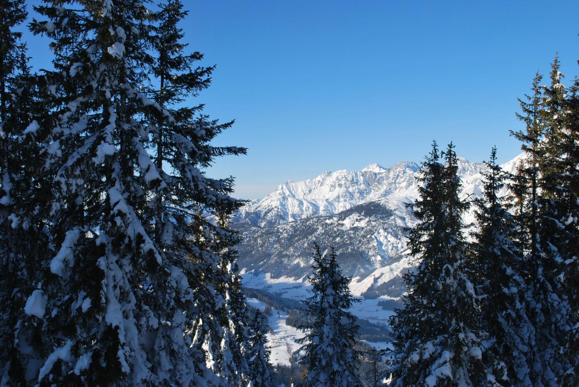 Appartement Haus Pichler Leogang Bagian luar foto