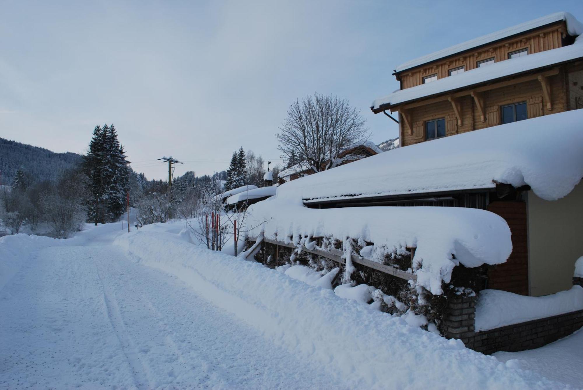 Appartement Haus Pichler Leogang Bagian luar foto